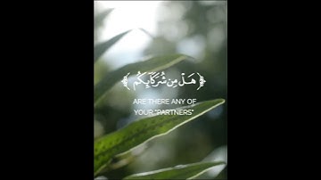 سورة الروم اية  ٤٠ القارئ رعد الكردي