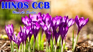 Hinos Ccb 2021 - Hinos antigos do CCB , Hinos cantados maravilhosa seleção de cânticos da ccb