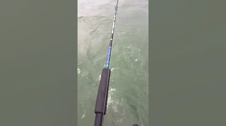 My dad bringing in a walleye on Lake Erie