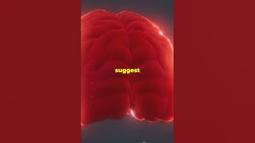 Boltzmann Brain: Mind-Blowing Theory Explained!