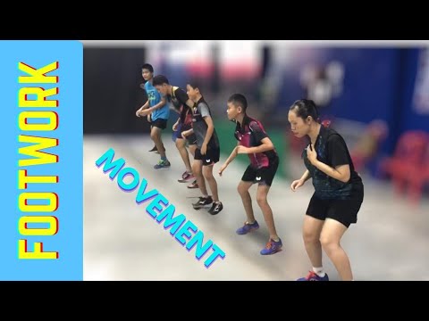 การเคลื่อนที่ของกีฬาปิงปอง l Training basic Footwork \u0026 Movement  (Table Tennis)
