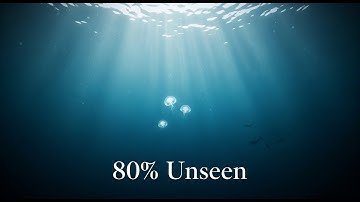 The Hidden Life Beneath the Ocean: Why 80% of It Remains Unexplored