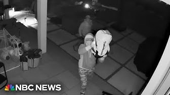 Thumbnail for Thieves using wifi jammers to evade detection from home security cameras