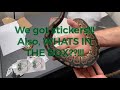 Snake unboxing!! Also, Our first stickers from fellow breeders!