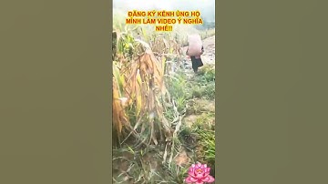 Quà tặng cuộc sống về ý chí nghị lực của con người kém may mắn #nghilucsong phần 24