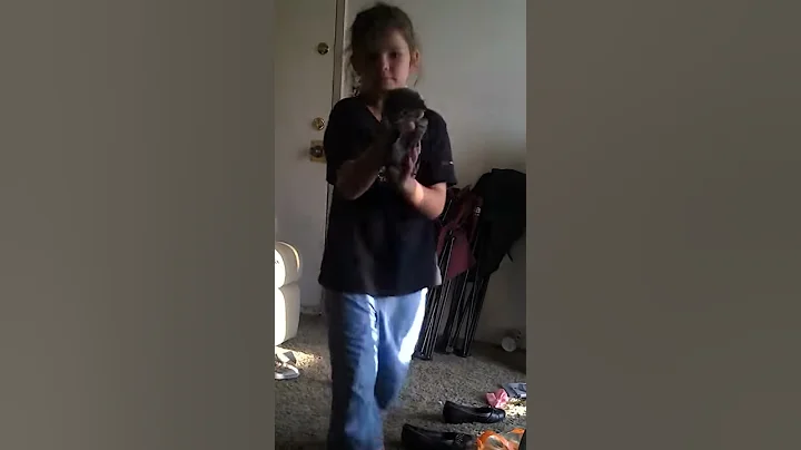Frankie the kitty