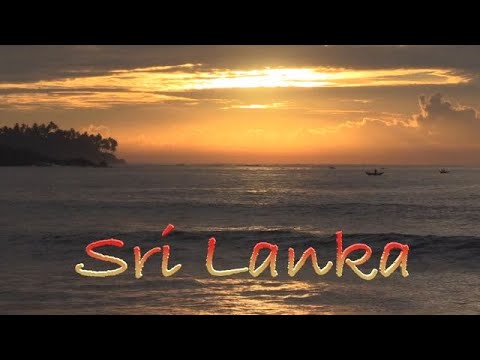 Video: Kus On Sri Lanka