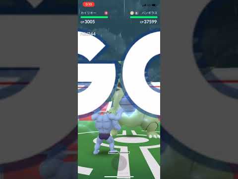 【ポケモンGO】バンギラス【レイド】