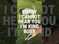 Slumber Pawties | Shorts | Dog Videos