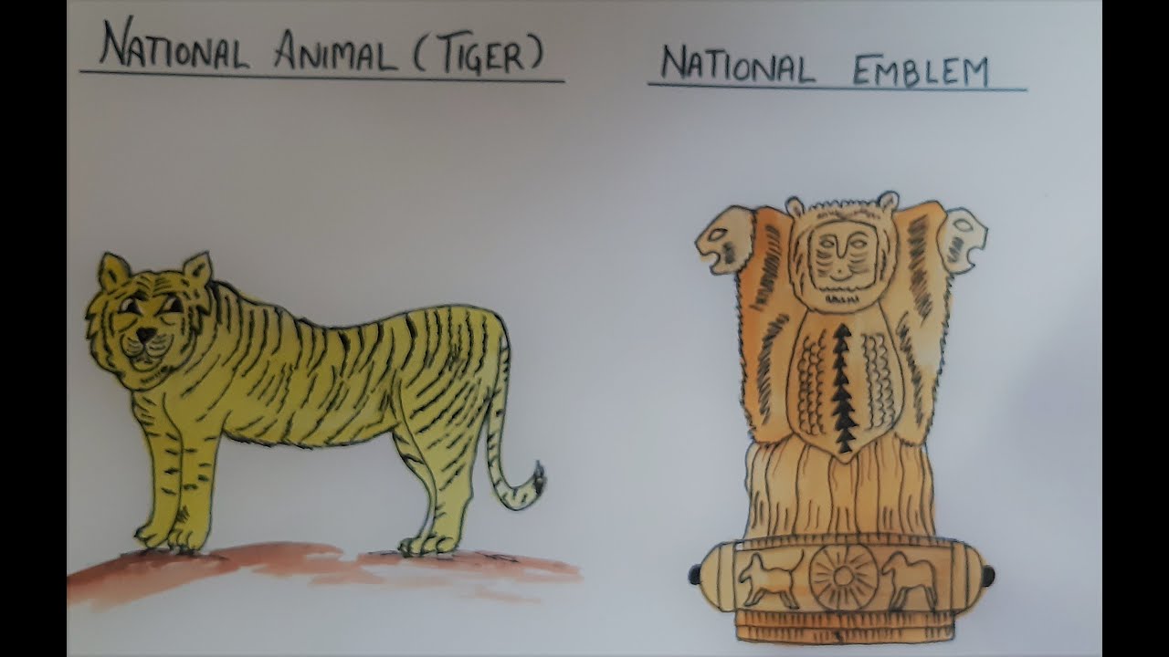 Featured image of post Drawing National Animal Of India National animal bird emblem fruit flower tree sports etc