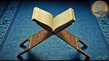 ما تيسر من سورة  ابراهيم    القارئ رعد محمد الكردي