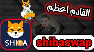 تم نزول منصة shibaswap وتأثيره على العملةshiba inu coin