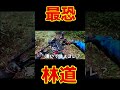 カブで行く場所じゃない！日本最恐の極悪廃道「甲子林道」をハンターカブで完全走破！（CT110＆CT125）#オフロードバイク#ハンターカブ#林道ツーリング