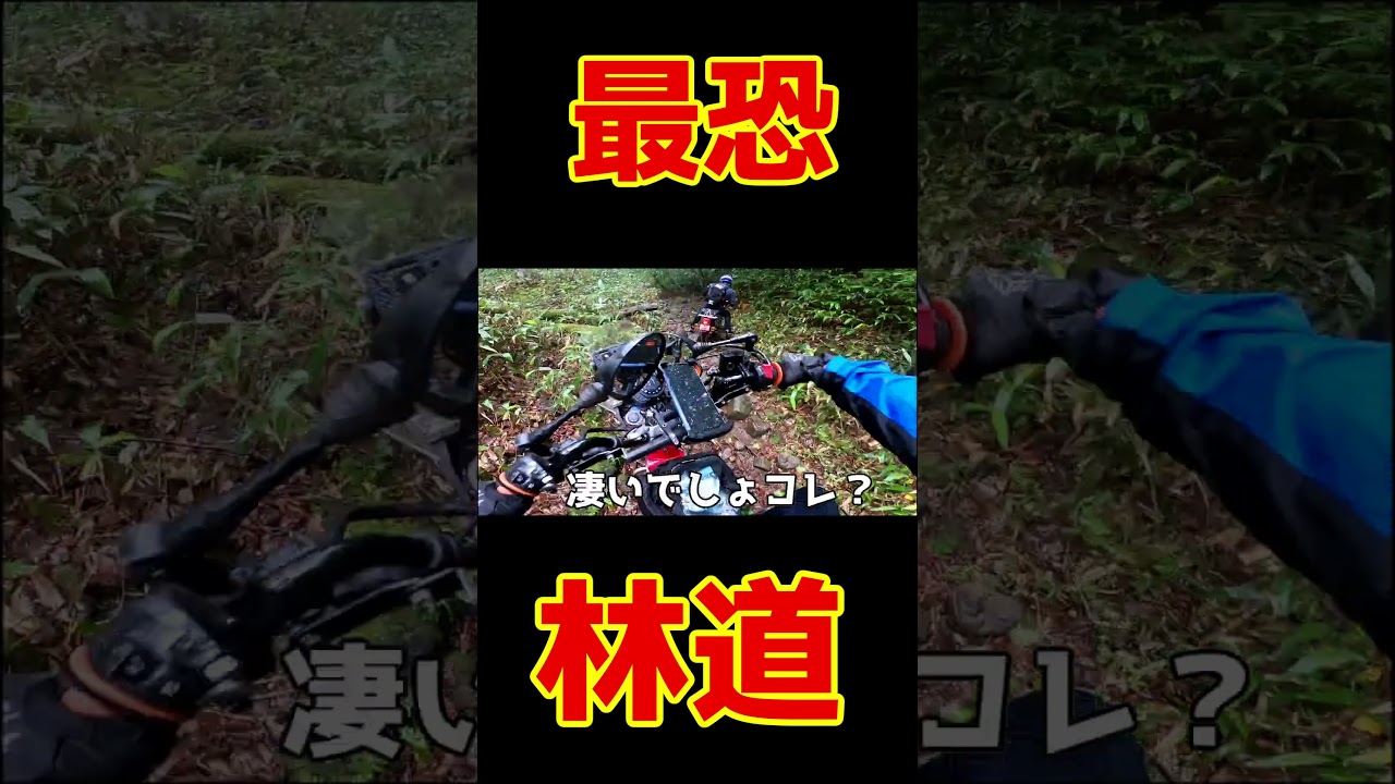 カブで行く場所じゃない！日本最恐の極悪廃道「甲子林道」をハンターカブで完全走破！（CT110＆CT125）#オフロードバイク#ハンターカブ#林道ツーリング
