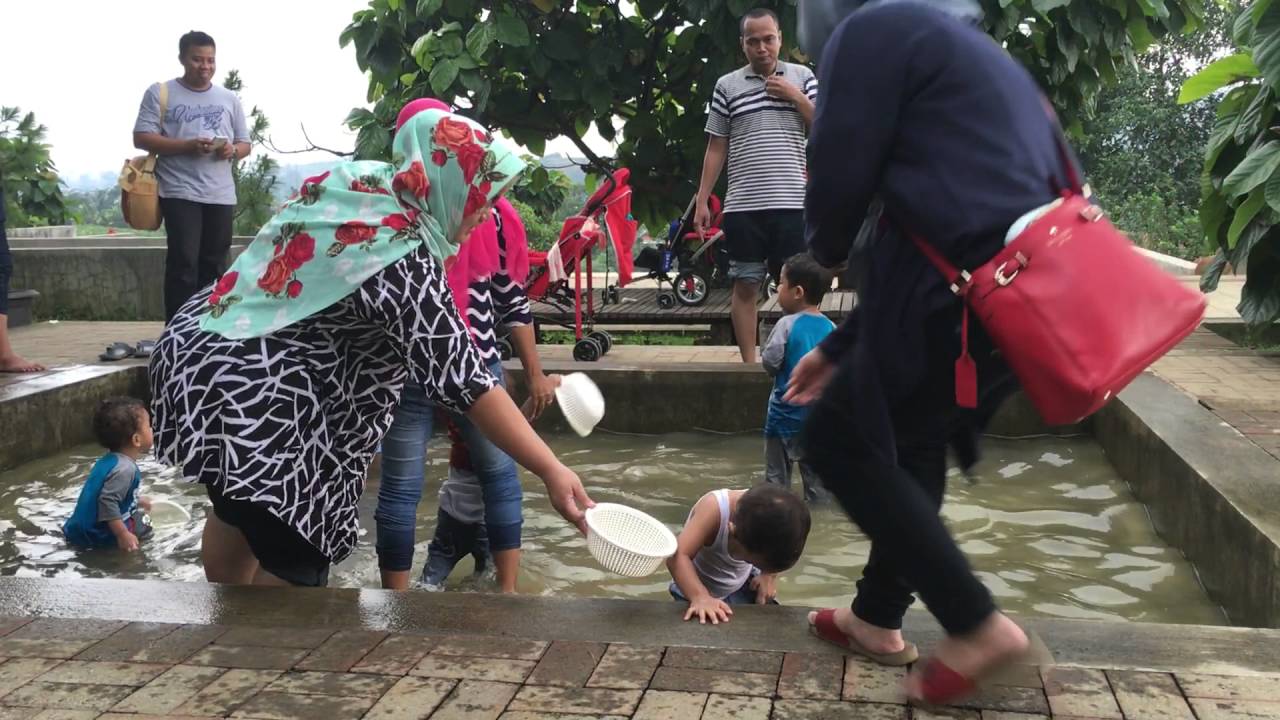 Menangkap ikan di kolam Kuntum Farmfield Bogor 