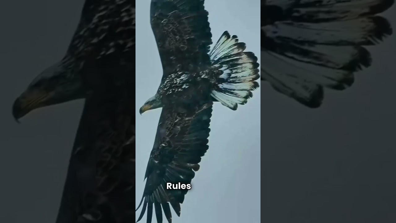 SIX RULES OF LIFE!!!