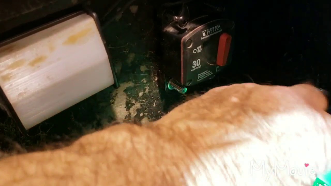 Boats Live well pump doesn't work, electronics doesn't work,