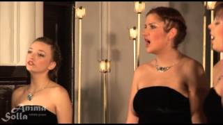 Download Lagu R. Dubra - Ave Regina caelorum II MP3