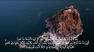 إن الله فالق الحب والنوى قراءة هادئة للقارئ سعيد حمادي
