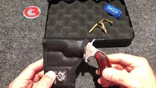 North American Arms .22 Magnum DeSantis Holster