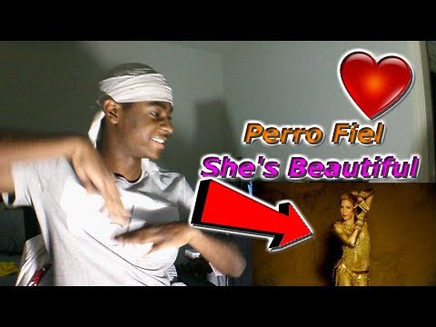 Shakira - Perro Fiel (Official Video) ft. Nicky Jam |Reaction|😍