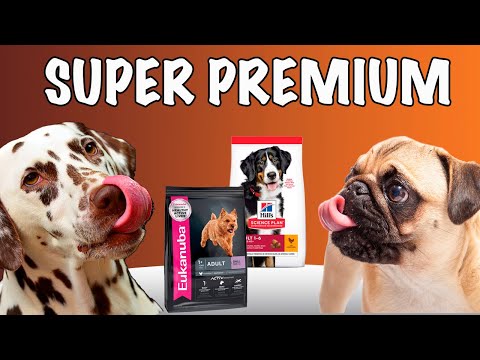Корм для собаки – Часть 4 🐶 Решает ли проблемы СУПЕР ПРЕМИУМ корм? 🐕 Как выбрать корм для собаки?