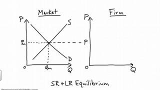 Perf. Comp. Firm (Intro) -Micro
