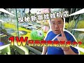 久違的娃娃機店~萬元挑戰各式各樣觀光客會去的娃娃機店~