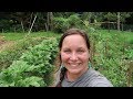 HOMESTEADING Made Me RICH!