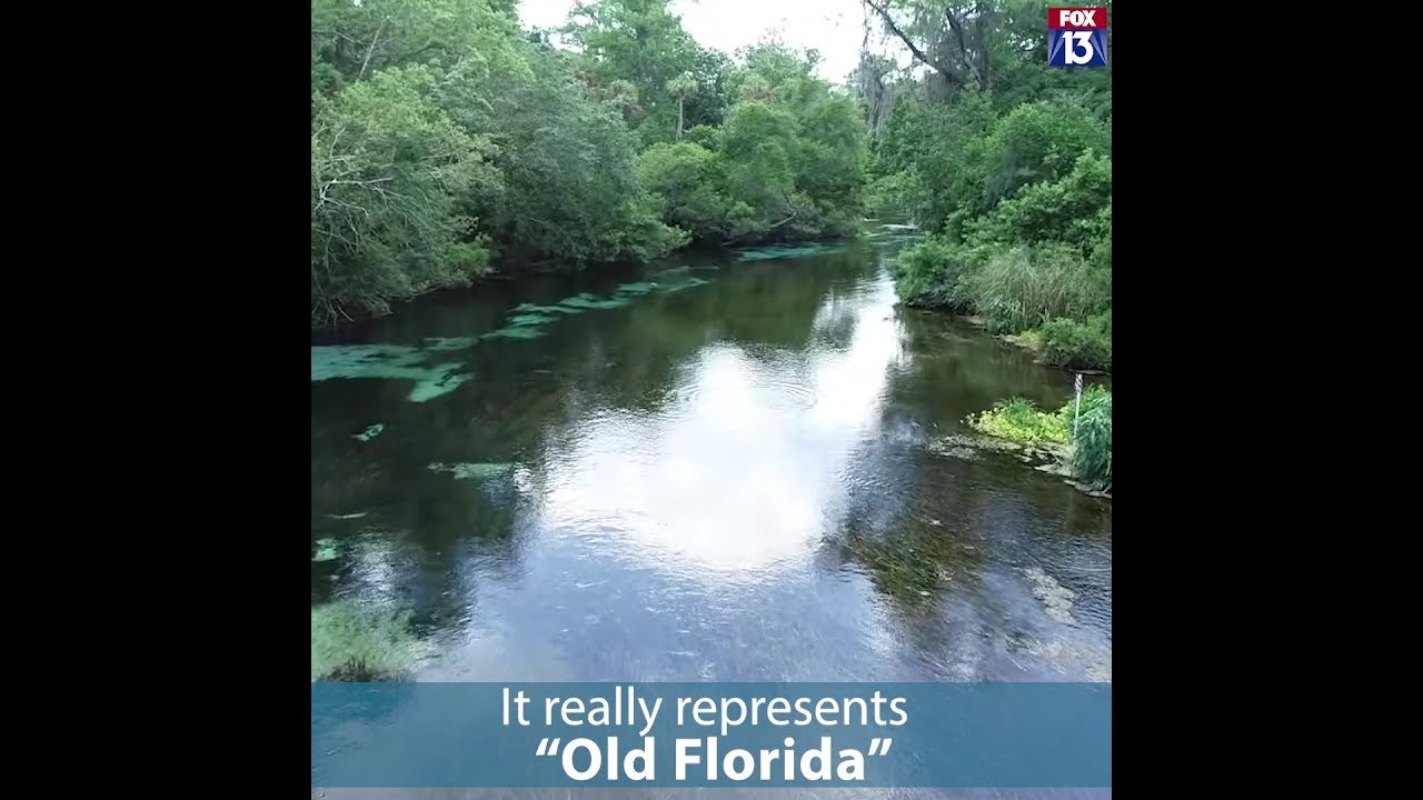 newspaper mockup Drone's view of Weeki Wachee Springs State Park
