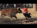 Villareal(Cs) 26-09-2020 Suelta de vacas, capones y toros de la ganadería Arriazu