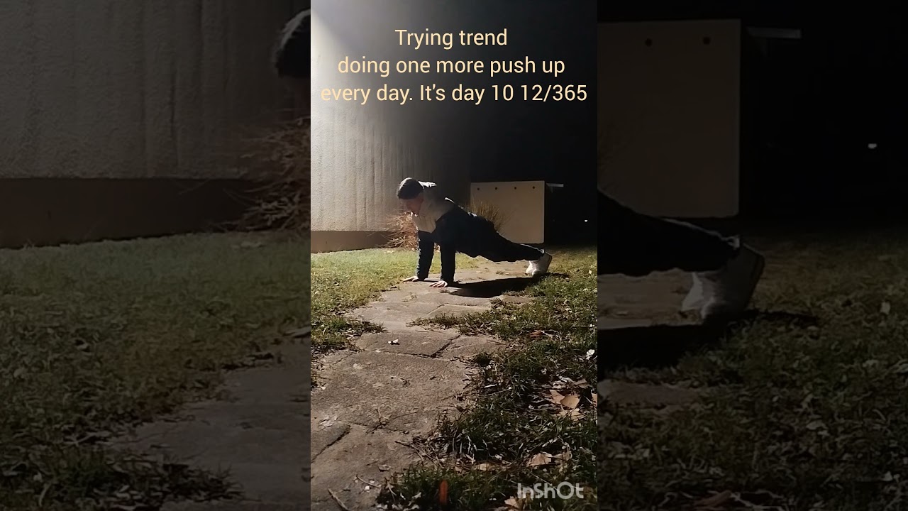 #365pushupchallenge