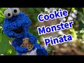 Baby Cookie Monster Pinata