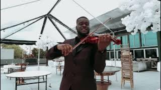 Jashn-E-Bahaaraa - Lordnation (Violin Cover)