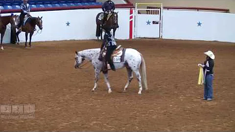 369 TAKING HITS CHERYL THORNTON