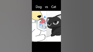 When you collapse,your pet: