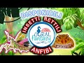 INSETTI ANFIBI E MOLTO ALTRO !!!