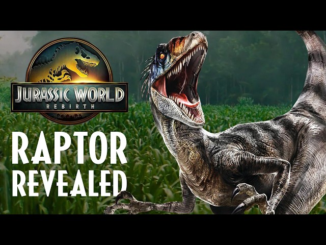 Jurassic World Raptor Wallpaper Blue The Raptor Wallpapers Wallpaper