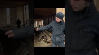 Всем коровникам коровник. Герман Стерлигов. (2019) #shorts  #германстерлигов