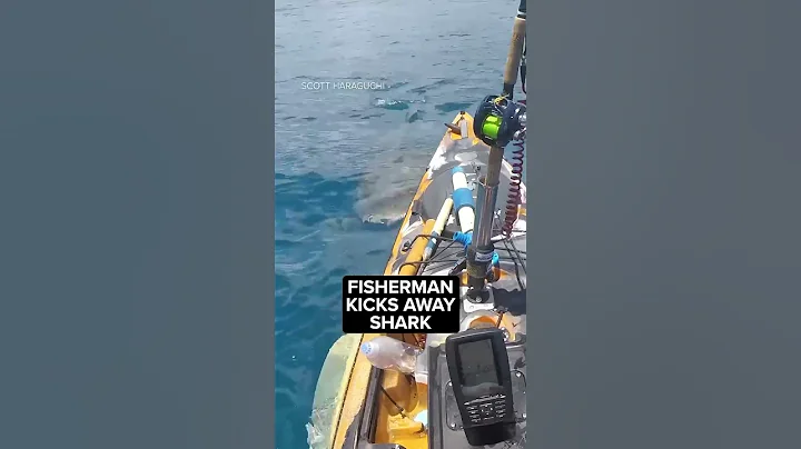Video shows shark attack kayak off Hawaii shore