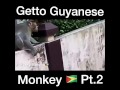 Trey sancho ghetto guyanese monkey pt2