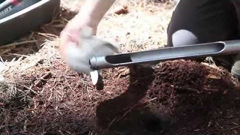 Soil sampling for chemical analysis