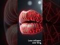 Why Lips Lose Color As You Age