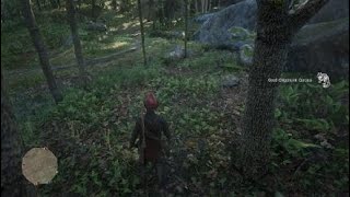 Red Dead Redemption 2 Daily Western Chipmunks Collected Fast/Easy
