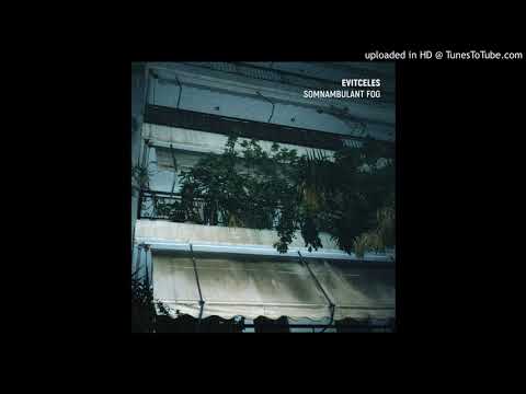 Evitceles — Evitceles - Свръхдействителен Картинен Свят