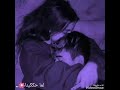 حالات واتس مهرجانات 13 