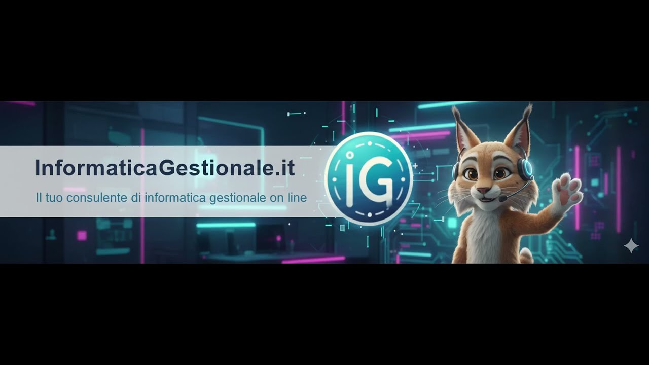 Informatica in un piccola e media impresa? guarda il video! Informaticagestionale.it