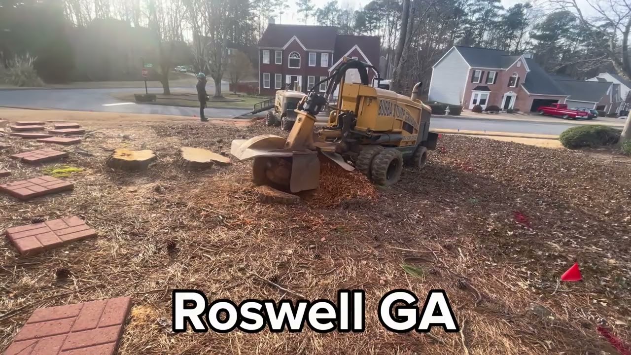 Bubba Stump Grinding Roswell Ga