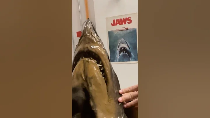 Meet the shark that inspired JAWS! #movies #naturalhistory #sharks #jaws #museums #ichthyology thumbnail