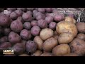 Le patate Walser della Val Formazza - Camper Osteria Italia 17/06/2026